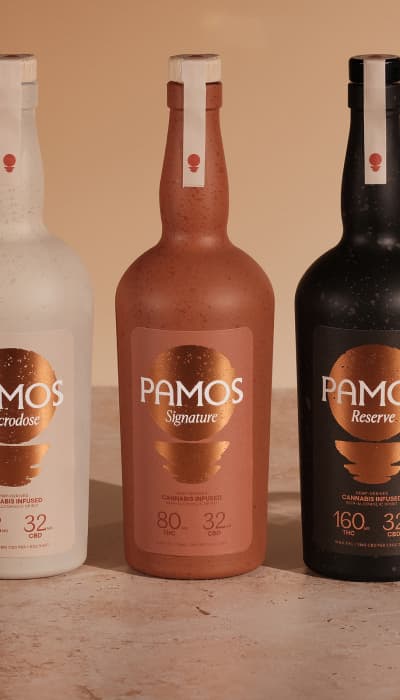 How a Disruptor Brand Hit CPS <$2 success story background